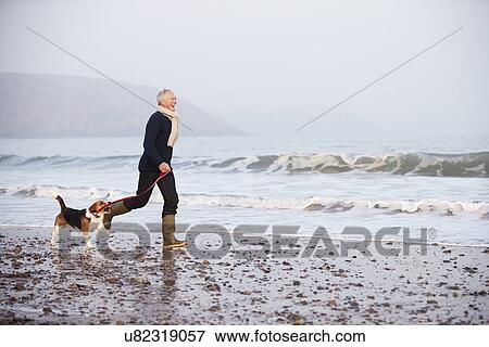 Senior Man Walking Along Winter Beach With Pet Dog View Large Photo Image Stock Photo - Senior Man Walking Along Winter Beach With Pet Dog. Fotosearch