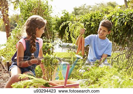 Two Children Working On Allotment Together View Large Photo Image Stock Image - Two Children Working On Allotment Together. Fotosearch