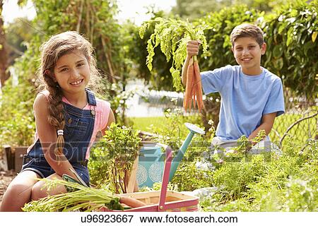 Two Children Working On Allotment Together View Large Photo Image Stock Photo - Two Children Working On Allotment Together. Fotosearch