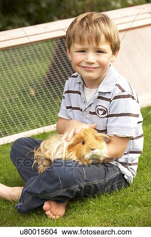 Young boy in garden holding guinea pig View Large Photo Image Picture - Young boy in garden holding guinea pig. Fotosearch