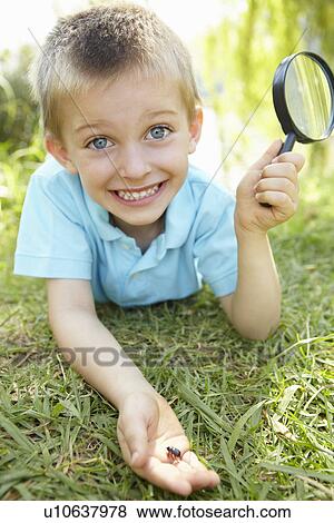 Young boy with beetle and magnifying glass View Large Photo Image Stock Photo - Young boy with beetle and magnifying glass. Fotosearch
