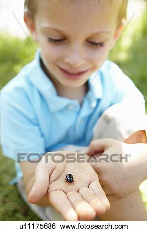 Stock Photograph - Young boy with beetle. Fotosearch