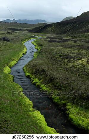 Stock Photograph - Has to be green to be believed. Fotosearch