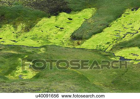 Iceland Highland abstract View Large Photo Image Stock Photograph - Iceland Highland abstract. Fotosearch