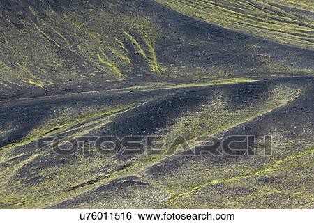 Lichen abstract View Large Photo Image Stock Photograph - Lichen abstract. Fotosearch