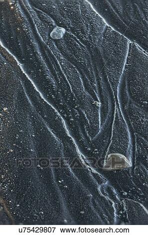 Lines in the sand View Large Photo Image Stock Photo - Lines in the sand. Fotosearch