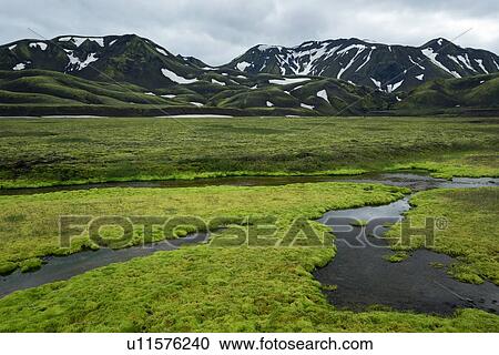 Stock Image - Meandering stream of green. Fotosearch