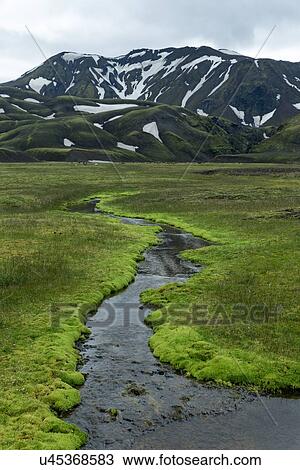 Stock Image - Meandering stream of green. Fotosearch