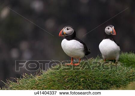 Stock Photo - Not talking. Fotosearch