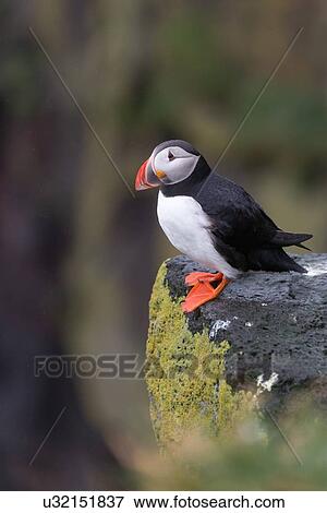 Stock Photo - On the edge. Fotosearch