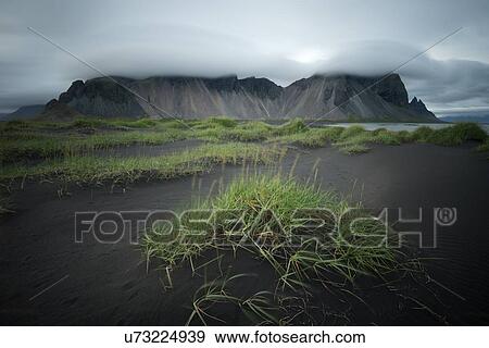 Sand dune panorama View Large Photo Image Stock Photo - Sand dune panorama. Fotosearch