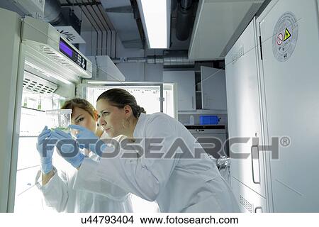 Biology lab technicians at work View Large Photo Image Picture - Biology lab technicians at work. Fotosearch