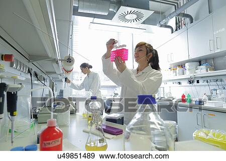 Biology lab technicians at work View Large Photo Image Stock Photo - Biology lab technicians at work. Fotosearch