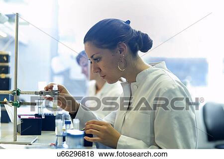 Biology lab technicians at work View Large Photo Image Stock Photo - Biology lab technicians at work. Fotosearch