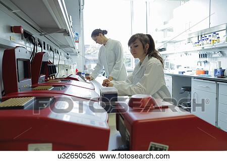 Biology lab technicians at work View Large Photo Image Stock Photograph - Biology lab technicians at work. Fotosearch