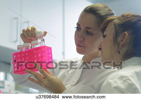Picture - Biology lab technicians having discussion at work. Fotosearch