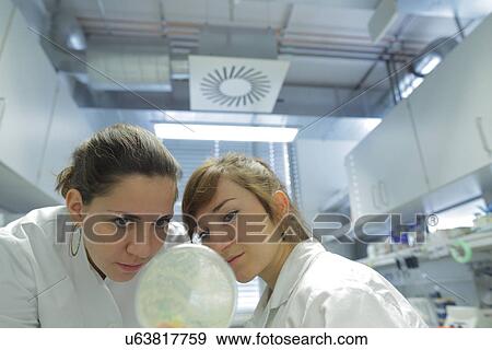 Stock Photo - Biology lab technicians having discussion at work. Fotosearch
