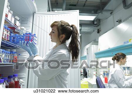 Biology lab technicians looking at test samples View Large Photo Image Stock Image - Biology lab technicians looking at test samples. Fotosearch