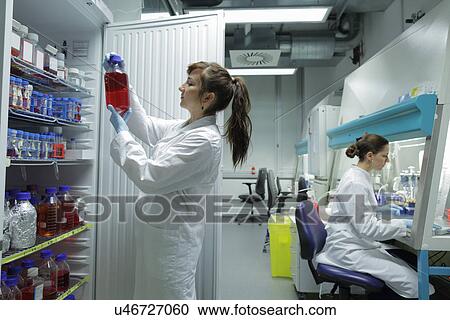 Stock Image - Biology lab technicians looking at test samples. Fotosearch
