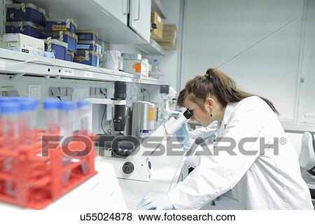 Stock Photo - Biology lab technicians looking at test samples through microscope. Fotosearch