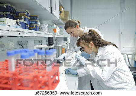 Stock Photo - Biology lab technicians looking at test samples through microscope. Fotosearch
