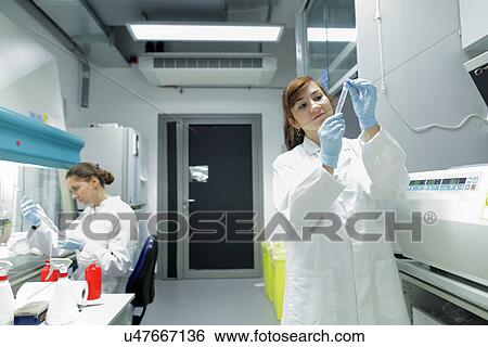 Biology lab technicians looking at test samples View Large Photo Image Stock Photograph - Biology lab technicians looking at test samples. Fotosearch