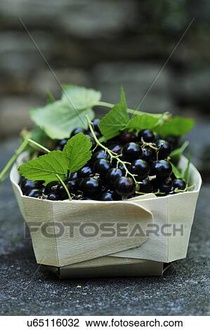 Stock Image - Blackcurrants in wooden box, close-up. Fotosearch