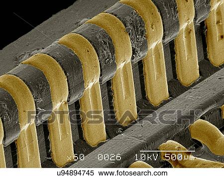 Stock Photography - Cell phone circuitry SEM. Fotosearch