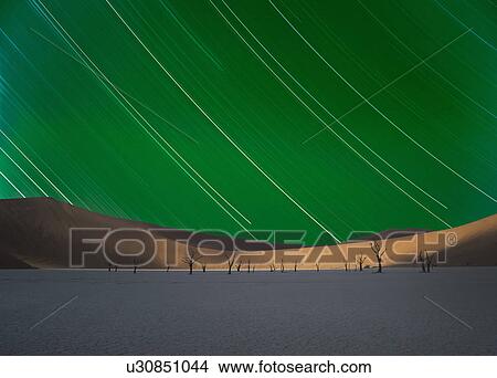 Picture - Clay pan with dead trees and star trails at night, Deaddvlei, Sossusvlei National Park, Namibia. Fotosearch