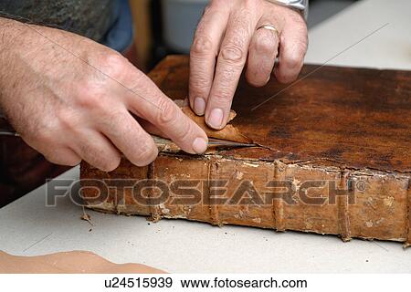 Stock Photo - Close up of hands of senior male traditional bookbinder removing leather from book. Fotosearch