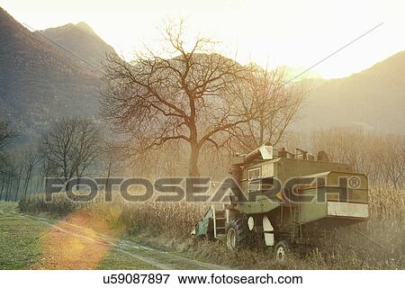 Stock Photo - Combine harvester harvesting in field, Premosello, Verbania, Piemonte, Italy. Fotosearch