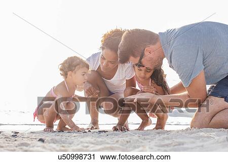 Couple with two girls looking for seashells on beach, Tuscany, Italy View Large Photo Image Stock Image - Couple with two girls looking for seashells on beach, Tuscany, Italy. Fotosearch