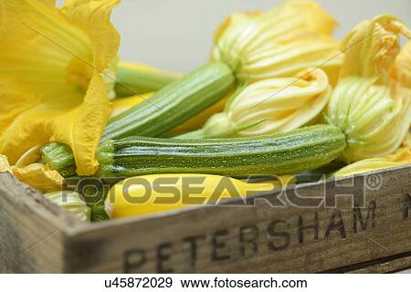 Stock Photo - Courgettes with flowers, close-up. Fotosearch