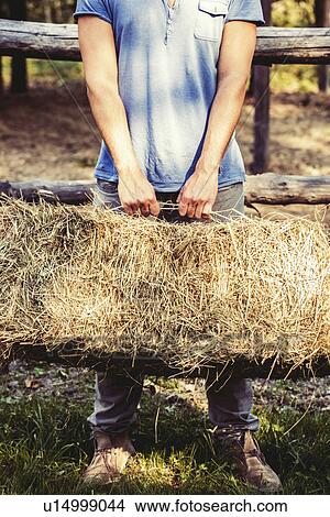 Cropped shot of young male farmer lifting straw bale, Premosello, Verbania, Piemonte, Italy View Large Photo Image Picture - Cropped shot of young male farmer lifting straw bale, Premosello, Verbania, Piemonte, Italy. Fotosearch