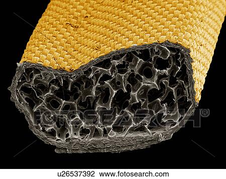 Stock Image - Cushion from cell phone SEM. Fotosearch