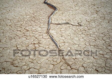 Stock Image - Dead tree roots on cracked clay pan, Deaddvlei, Sossusvlei National Park, Namibia. Fotosearch