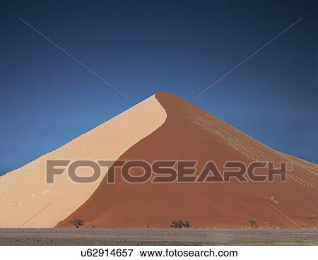 Stock Photo - Distant trees and giant sand dune, Sossusvlei National Park, Namibia. Fotosearch