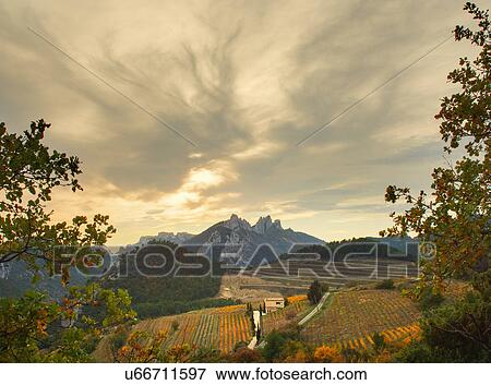 Stock Photo - Distant view of vineyards and Les Dentelles de Montmirail in autumn, Provence, France. Fotosearch