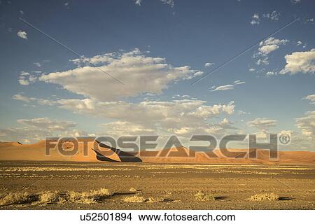 Giant sand dune in the Namib Desert View Large Photo Image Picture - Giant sand dune in the Namib Desert. Fotosearch