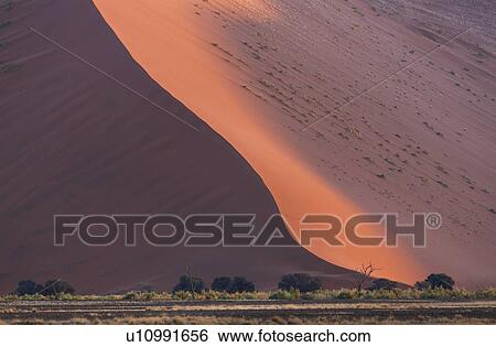 Stock Photograph - Giant sand dune, Sossusvlei National Park, Namibia. Fotosearch