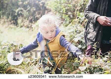 Girl picking blackberries View Large Photo Image Stock Image - Girl picking blackberries. Fotosearch