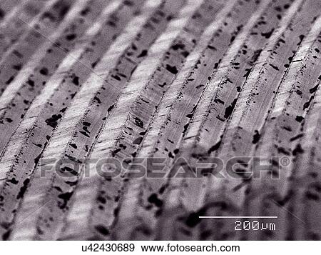 Stock Photo - Grooves of vinyl record album SEM. Fotosearch