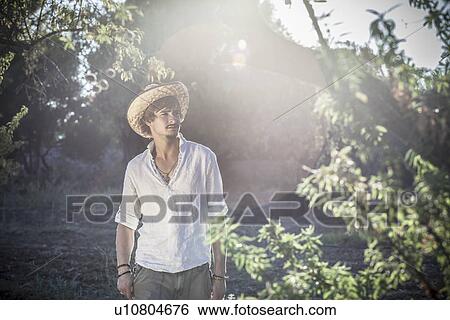 Stock Photograph - Olive grower working in olive grove, Cagliari, Sardinia, Italy. Fotosearch