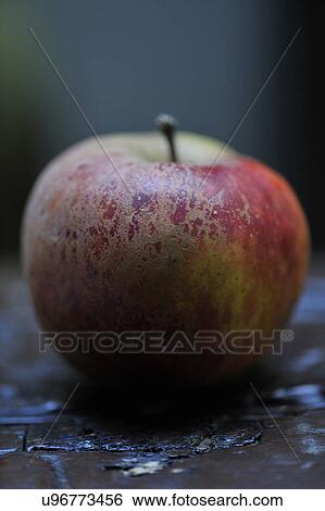 Stock Photograph - One apple, close-up. Fotosearch