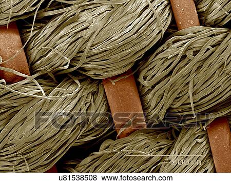 Stock Photo - Piece of antique crinolin, horsehair and linen SEM. Fotosearch