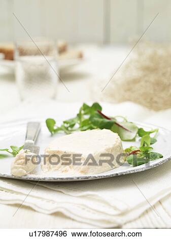 Plate of Scottish poached salmon terrines on savory biscuits chard salad garnish View Large Photo Image Stock Photograph - Plate of Scottish poached salmon terrines on savory biscuits chard salad garnish. Fotosearch