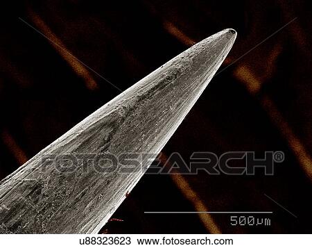 Stock Image - Point of sewing needle SEM. Fotosearch