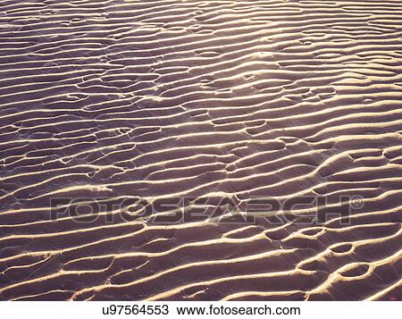 Sand dune by day View Large Photo Image Stock Image - Sand dune by day. Fotosearch