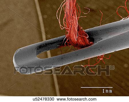 Sewing needle and thread SEM View Large Photo Image Stock Image - Sewing needle and thread SEM. Fotosearch