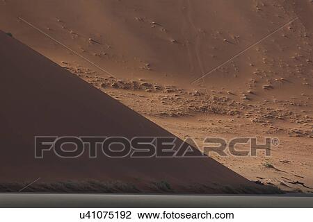 Stock Image - Shadowed sand dune, Deaddvlei, Sossusvlei National Park, Namibia. Fotosearch